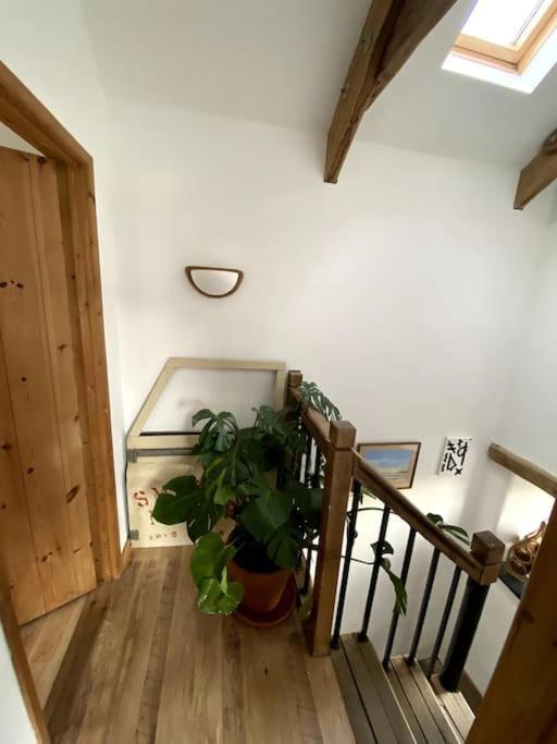 9A Viaduct Cottage - The Cosiest Bolthole In The Sw! Hayle Exterior photo